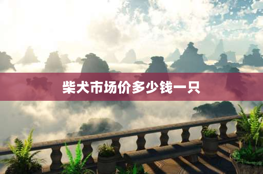 柴犬市场价多少钱一只 为什么柴犬有的卖700 有的卖3000？