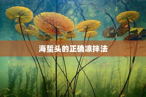 海蜇头的正确凉拌法 白海蜇丝的正确凉拌法？