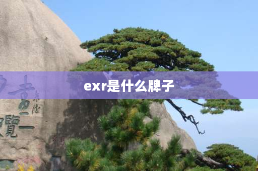 exr是什么牌子 exr是什么牌子的汽车？