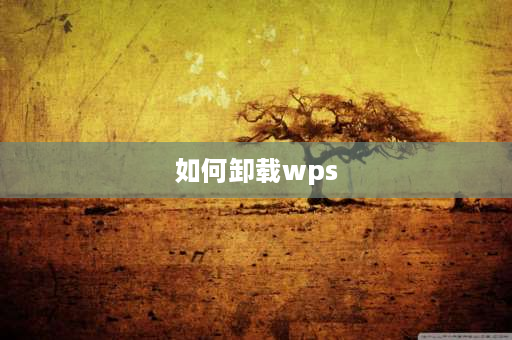 如何卸载wps wps怎么把默认wps打开关掉？