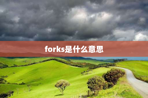 forks是什么意思 found的名词形式？