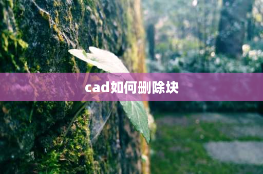 cad如何删除块 cad带的块怎么分解？