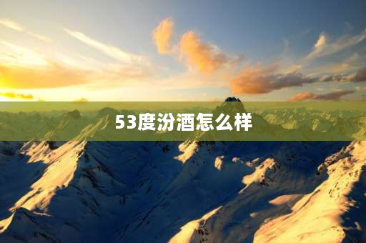 53度汾酒怎么样 汾酒53度原浆20年475mⅠ喝着怎么样？