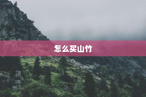 怎么买山竹 怎么样挑山竹？