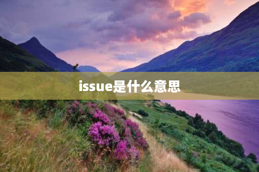 issue是什么意思 issue和release的差别？