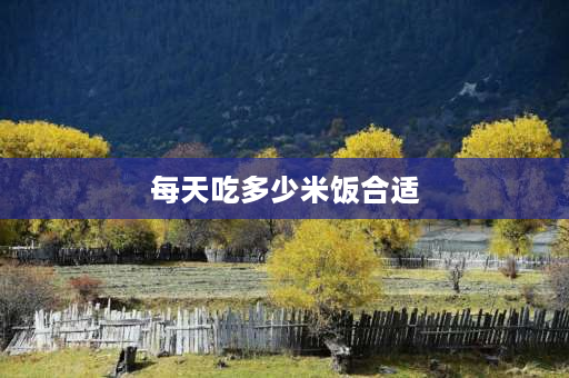 每天吃多少米饭合适 每餐100克主食大米是生重还是熟重？