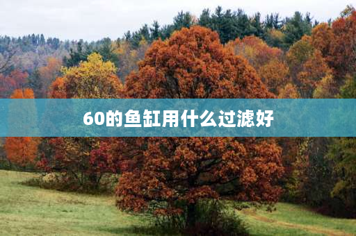 60的鱼缸用什么过滤好 60方缸用多大的过滤？