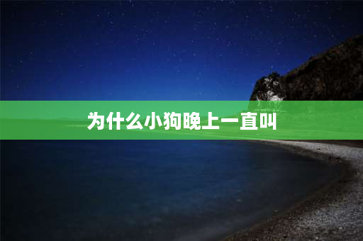 为什么小狗晚上一直叫 狗狗总是叫怎么办，不同年龄段狗狗晚上叫不停的原因您知道多少？