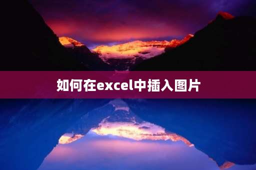 如何在excel中插入图片 表格怎么插入图片在一个格子里？