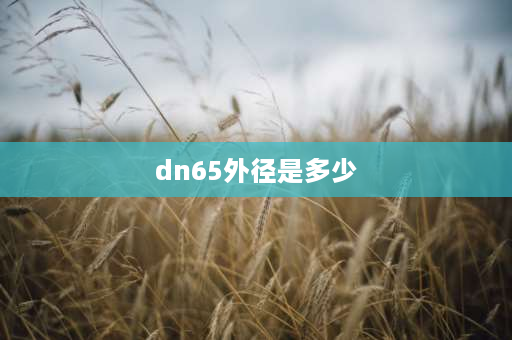 dn65外径是多少 65通径是什么尺寸？