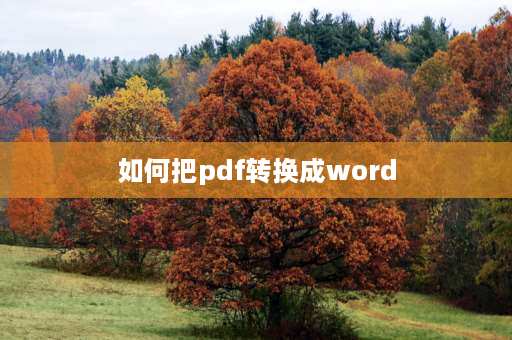 如何把pdf转换成word pdf转换成word最好办法？