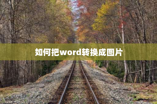 如何把word转换成图片 怎样将word文档的部分内容（流程图）制作成图片？