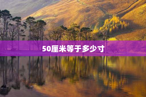 50厘米等于多少寸 50英寸和50寸区别？