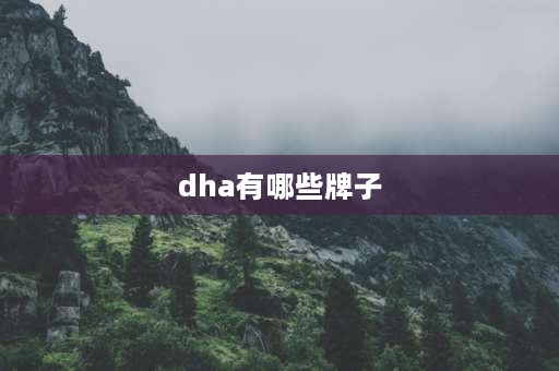 dha有哪些牌子 DHA什么牌子好？