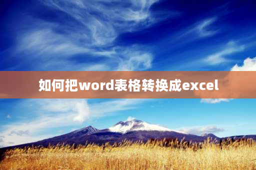 如何把word表格转换成excel excel表格怎么转化成WORD？