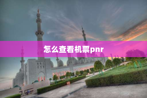 怎么查看机票pnr 机票上说的PNR是什么意思？