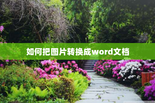 如何把图片转换成word文档 如何将图片转化成word？