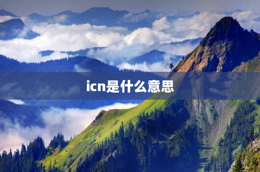 icn是什么意思 护理学的四个基本要素？