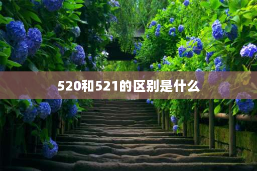 520和521的区别是什么 520和521有什么区别？