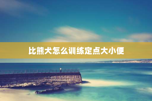 比熊犬怎么训练定点大小便 怎么教6个月的比熊犬定点上厕所？