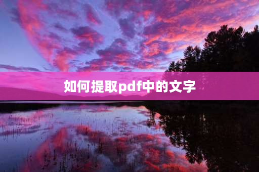 如何提取pdf中的文字 pdf如何读取声音？