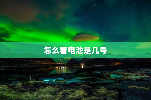 怎么看电池是几号 怎么判断电池是几号的？