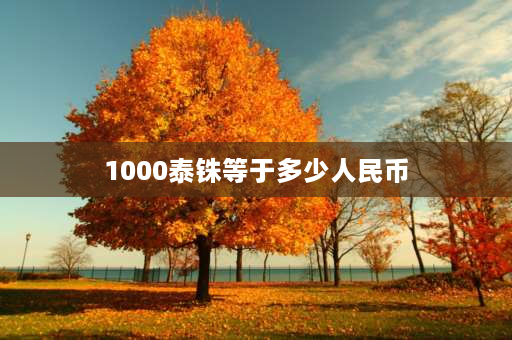 1000泰铢等于多少人民币 100泰元可以换人民币多少？100泰元可以？