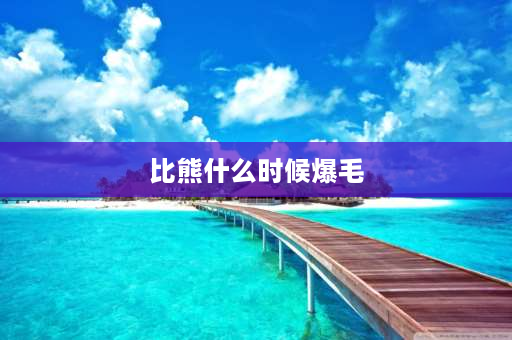 比熊什么时候爆毛 比熊犬几个月毛长得好？