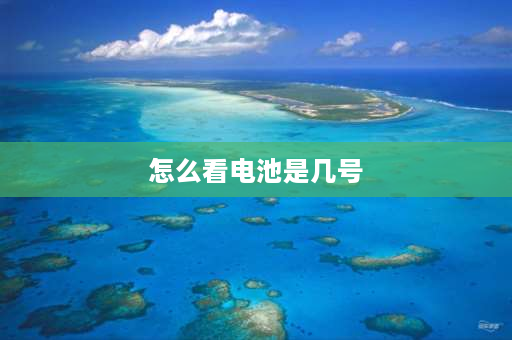 怎么看电池是几号 电池分几号？