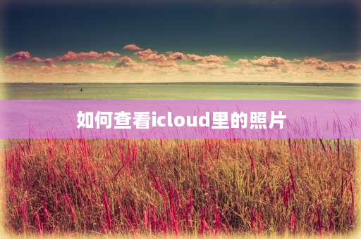 如何查看icloud里的照片 如何确定照片是存在手机还是icloud？