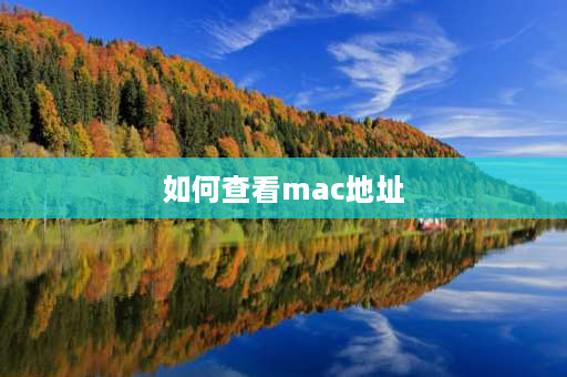 如何查看mac地址 如何查看电脑mac地址？