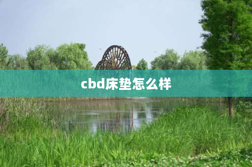 cbd床垫怎么样 cbd床怎么样？