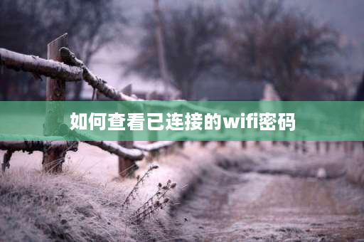 如何查看已连接的wifi密码 wifi编码怎么查找？