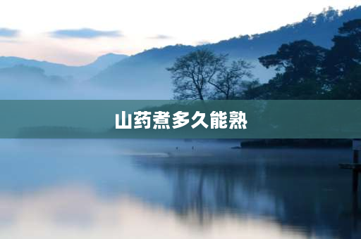 山药煮多久能熟 山药炖多久会烂？