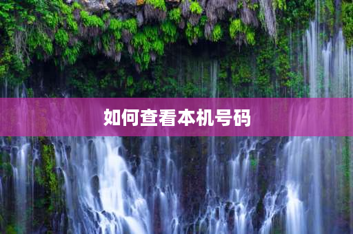 如何查看本机号码 OPPO手机如何查询本机号码？