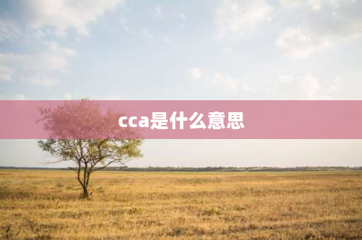 cca是什么意思 cca是什么？