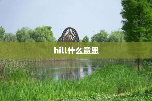 hill什么意思 hill系数名词解释？