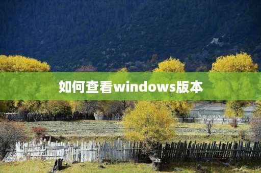 如何查看windows版本 怎么看windows版本多少位？