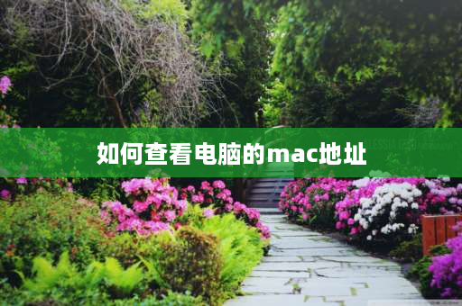 如何查看电脑的mac地址 电脑mac地址怎么查？