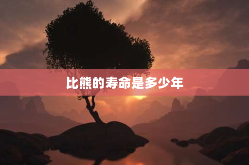 比熊的寿命是多少年 比熊的寿命多大？