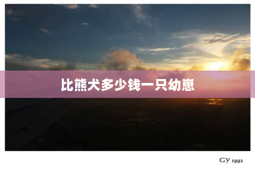 比熊犬多少钱一只幼崽 十个月从宠物店再买来的比熊会好养吗？2500公的不过很漂亮，贵吗 ？