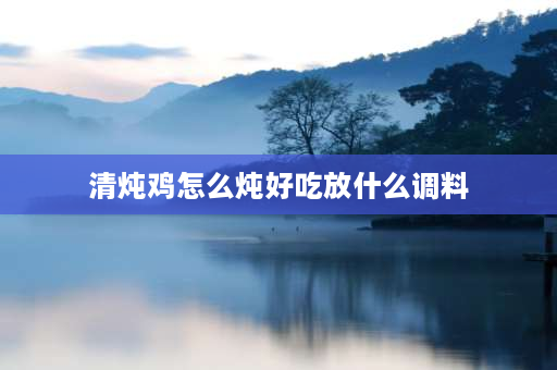 清炖鸡怎么炖好吃放什么调料 清炖鸭汤什么时候放调料？