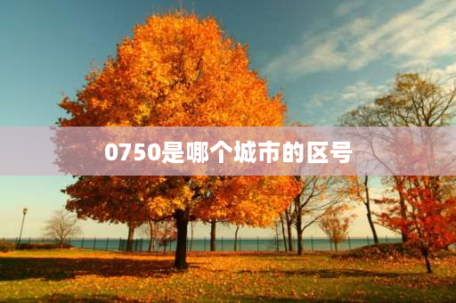 0750是哪个城市的区号 075是哪个城市的区号？