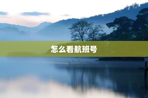 怎么看航班号 如何查询电子机票号码或者确认号？