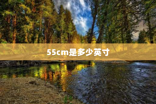 55cm是多少英寸 55cm多少寸？