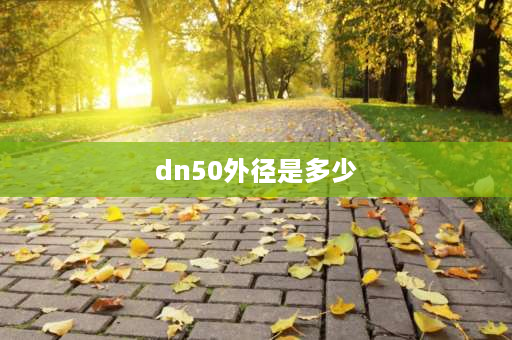 dn50外径是多少 50铸铁管外径是多少？