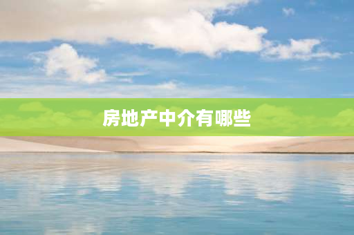 房地产中介有哪些 安居客找房旗下有哪些中介公司？