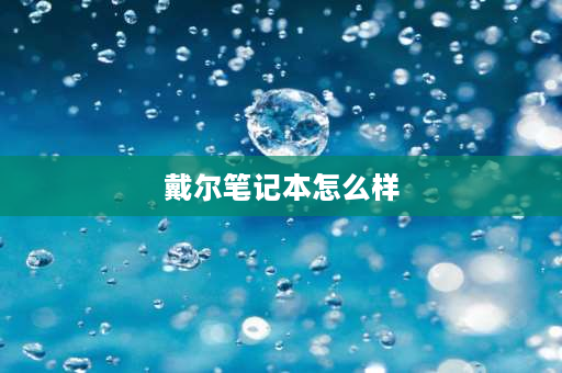 戴尔笔记本怎么样 戴尔i3处理器的笔记本怎么样？