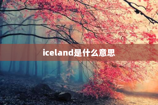 iceland是什么意思 北欧各航空公司标志？