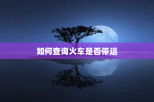 如何查询火车是否停运 去哪儿如何查询火车是否停运？